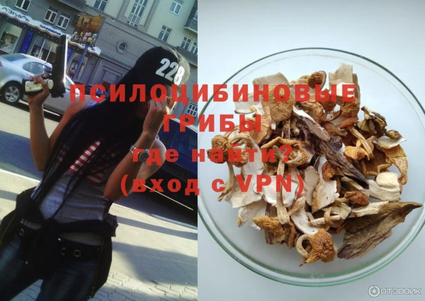 PSILOCYBIN Алзамай