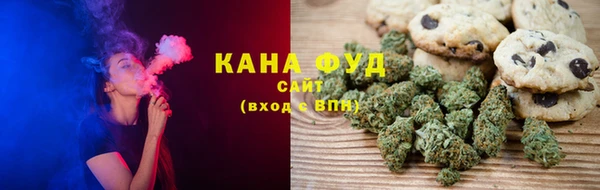 PSILOCYBIN Алзамай