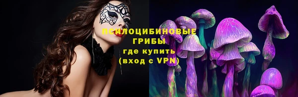 круглые Алексеевка