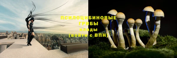 круглые Алексеевка