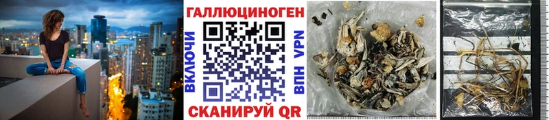 Галлюциногенные грибы MAGIC MUSHROOMS  где можно купить   Томмот 