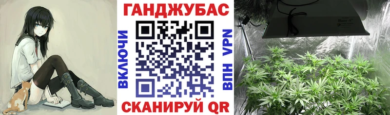 закладка  Томмот  Марихуана гибрид 